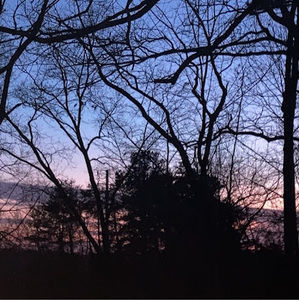 Meet your Posher, Andreyah